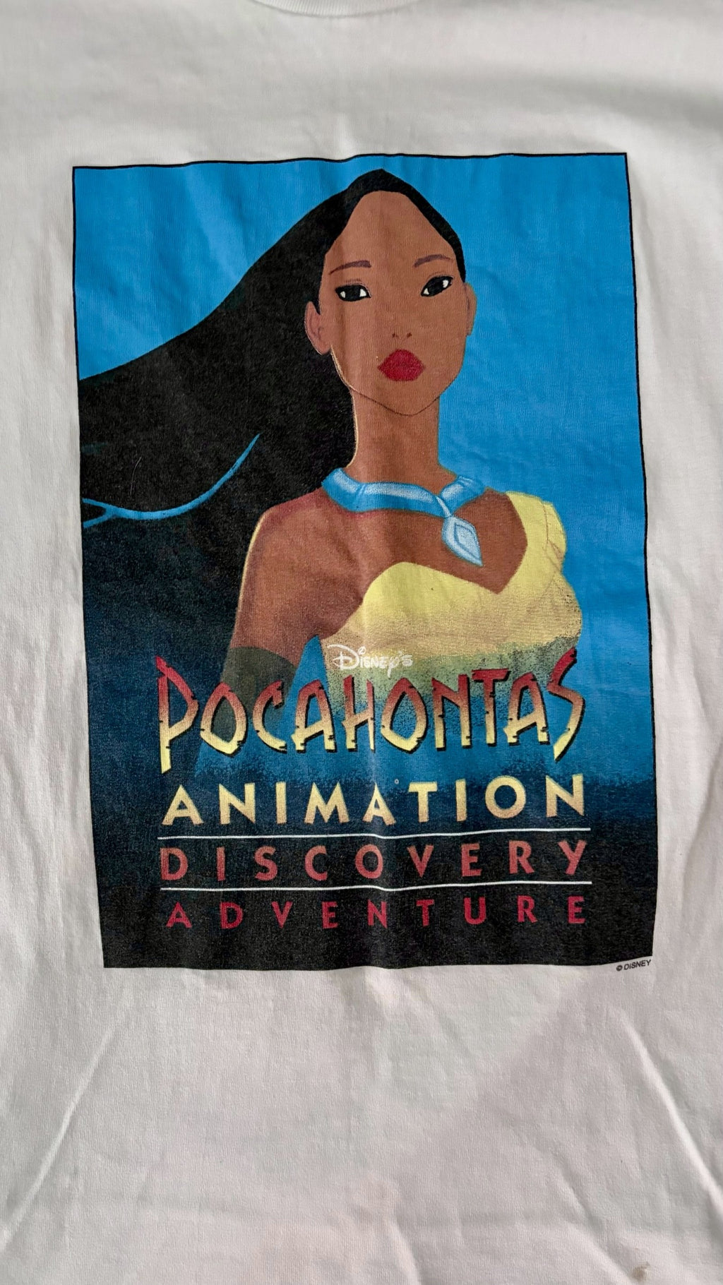 Giant ''Disney Pocahontas'' 1995 Shirt (L) (10/10)
