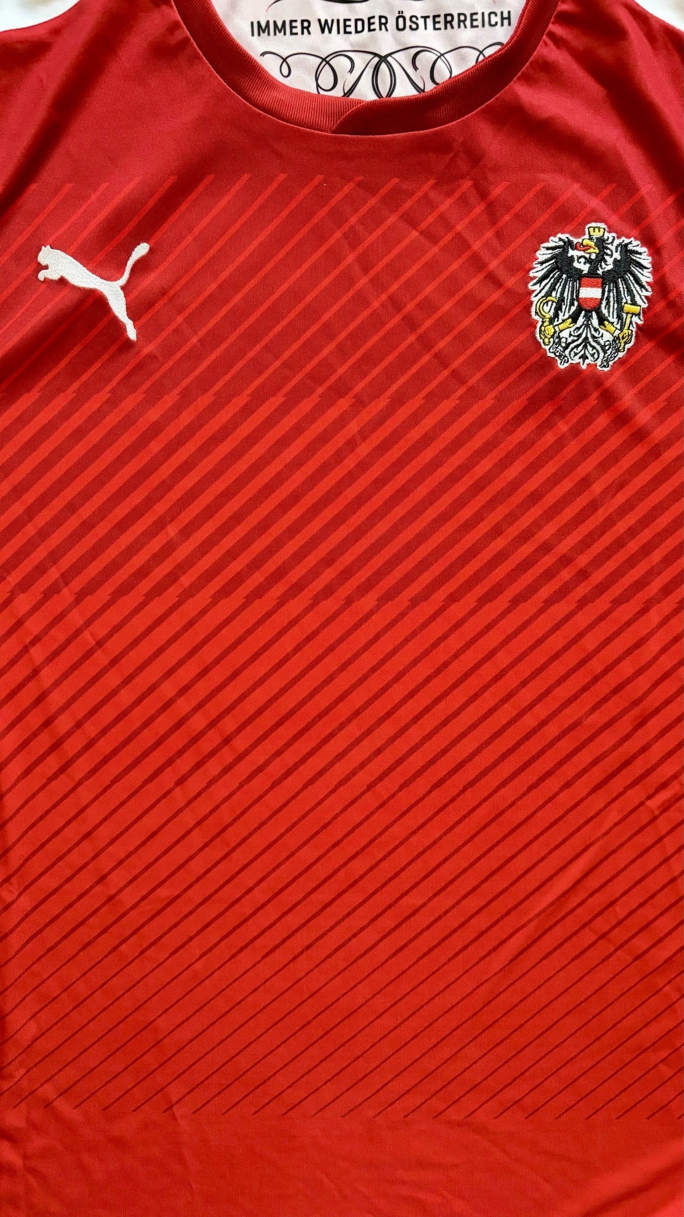 Austria 2016/2017 Home Shirt Club Crest Detail